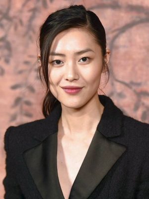 Liu Wen