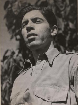 מייקל פטה